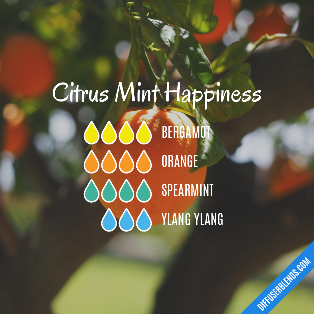 Citrus Mint Happiness — Essential Oil Diffuser Blend