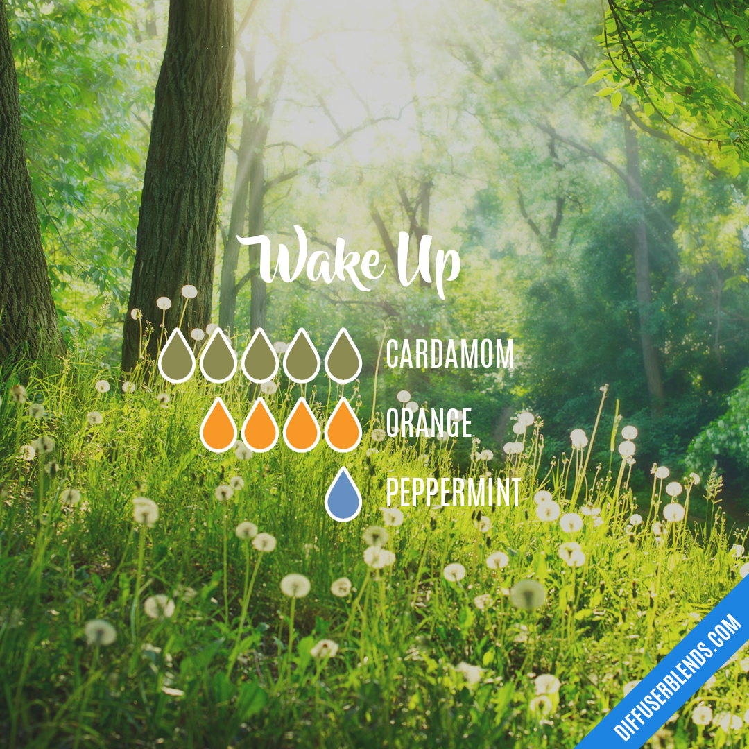 Wake Up — Essential Oil Diffuser Blend