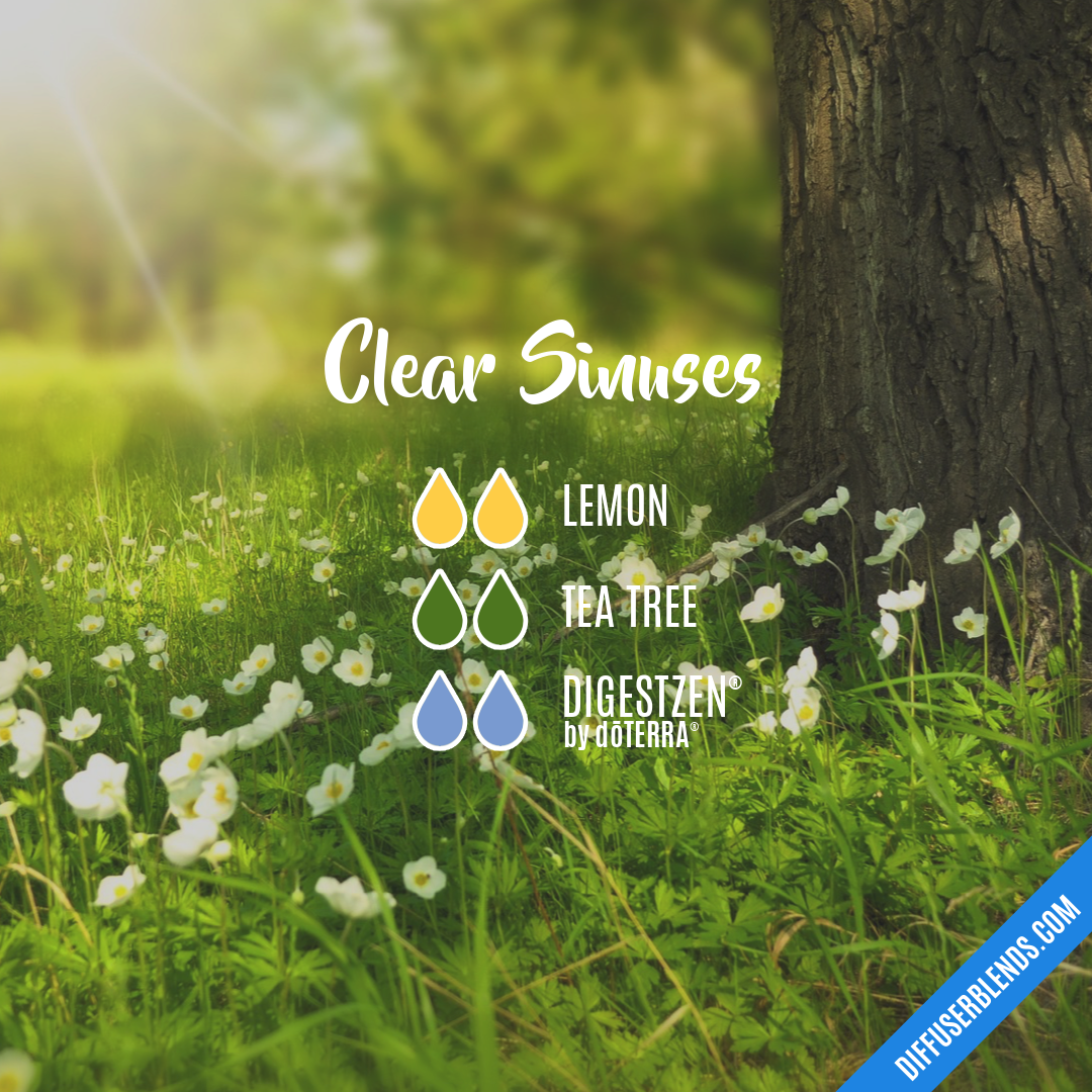 Clear Sinuses — Essential Oil Diffuser Blend