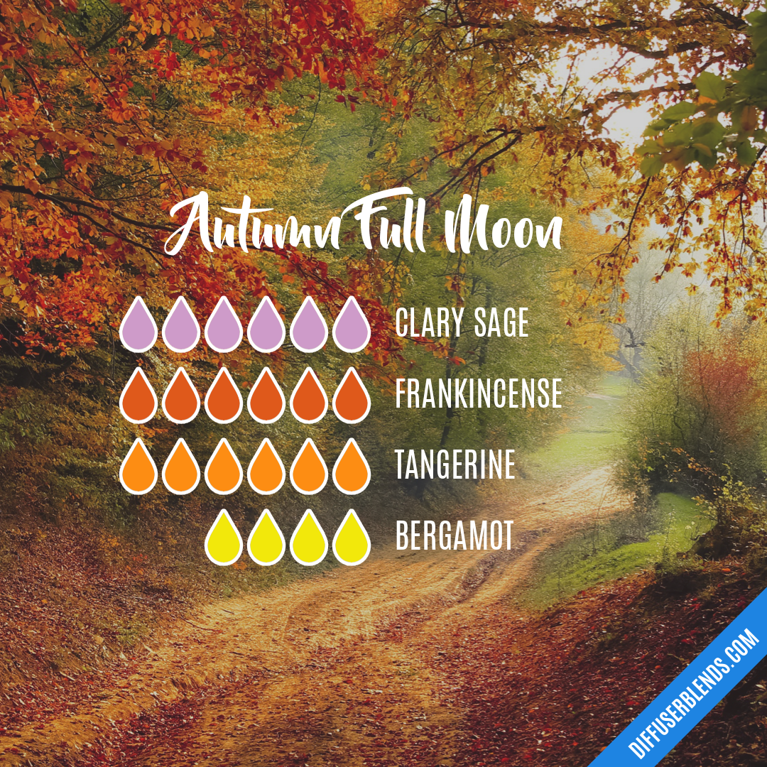 Autumn Full Moon — Essential Oil Diffuser Blend