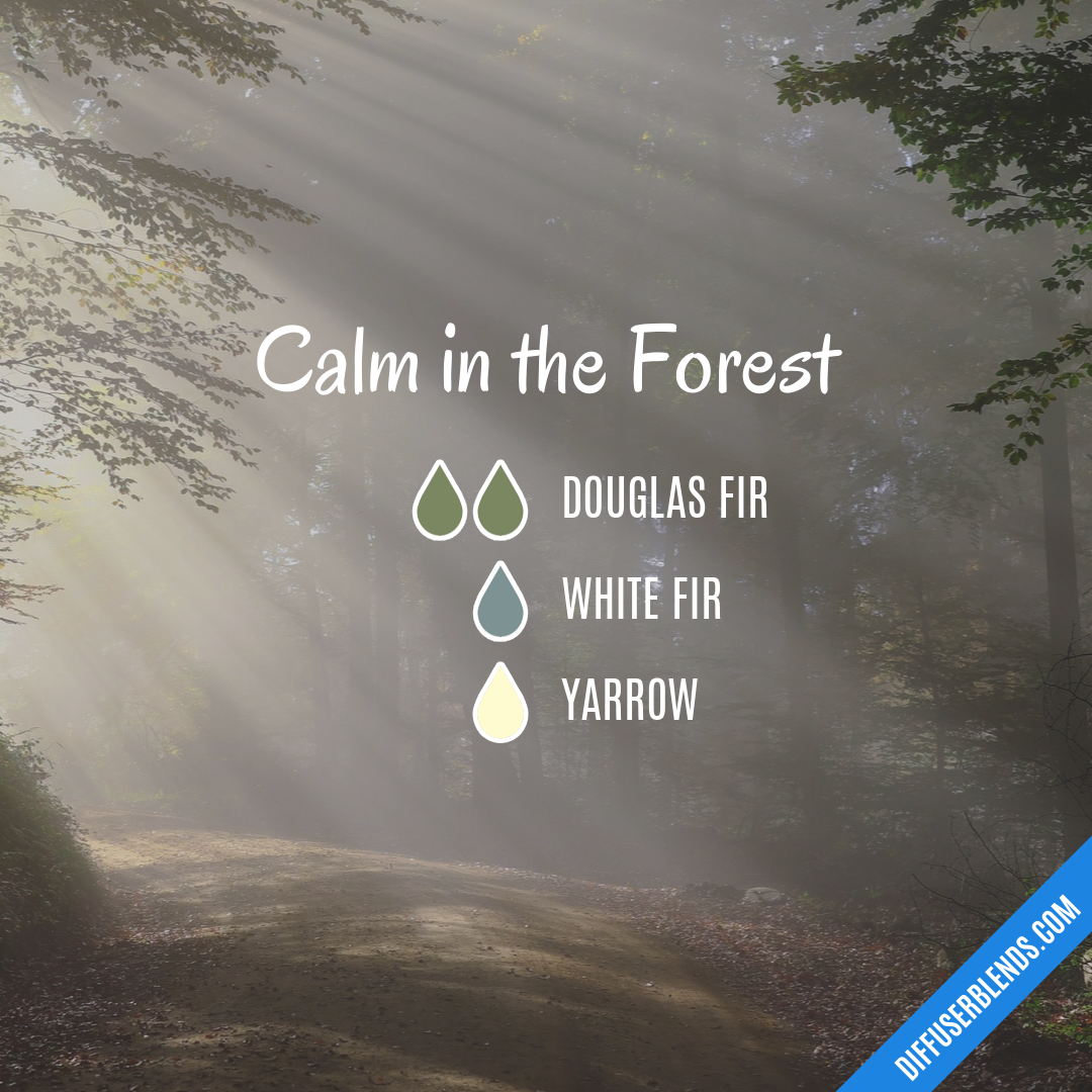 Calm in the Forest — Essential Oil Diffuser Blend