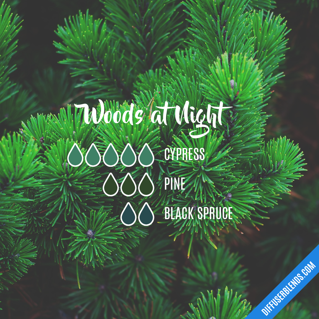 Woods at Night — Essential Oil Diffuser Blend