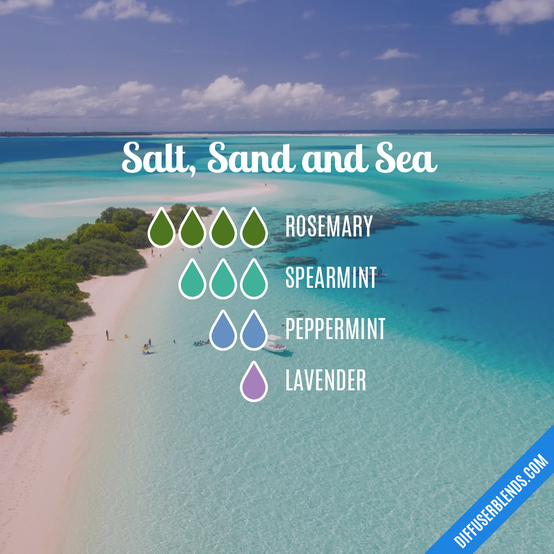 Salt, Sand and Sea | DiffuserBlends.com