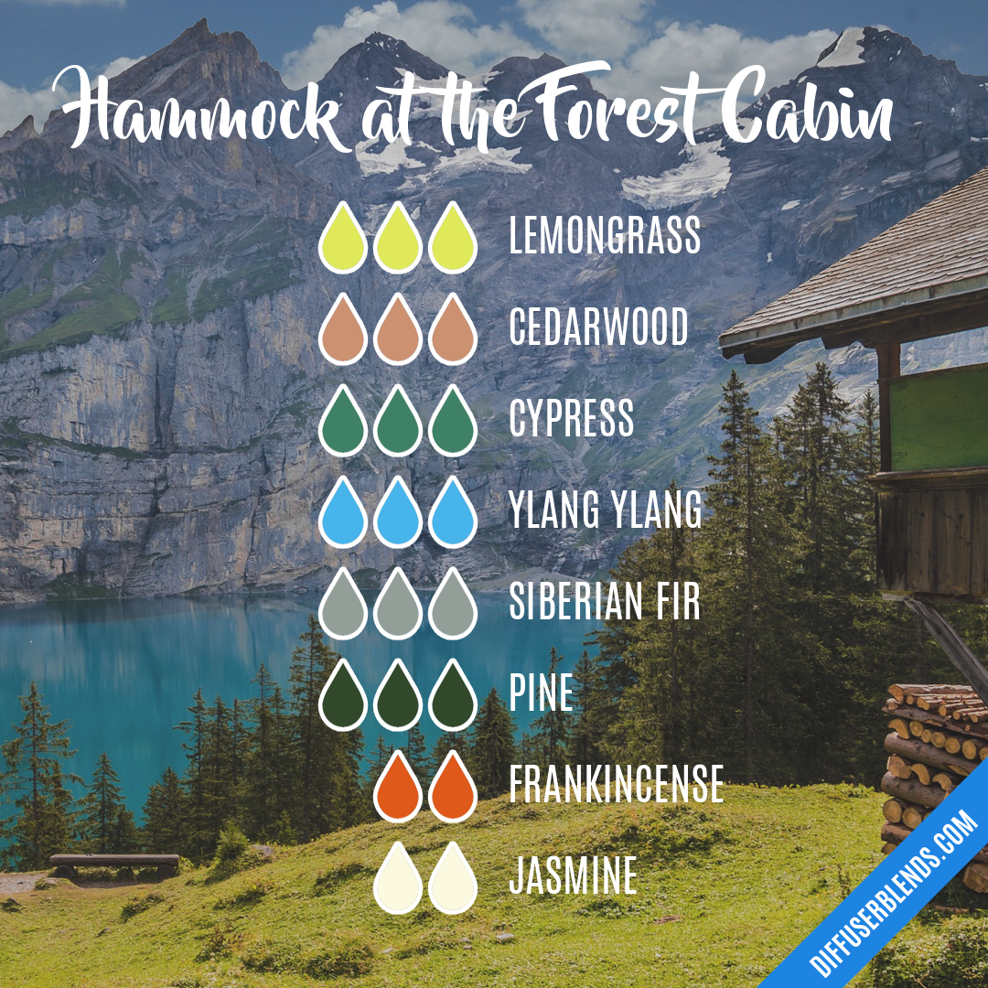 Hammock at the Forest Cabin — Essential Oil Diffuser Blend