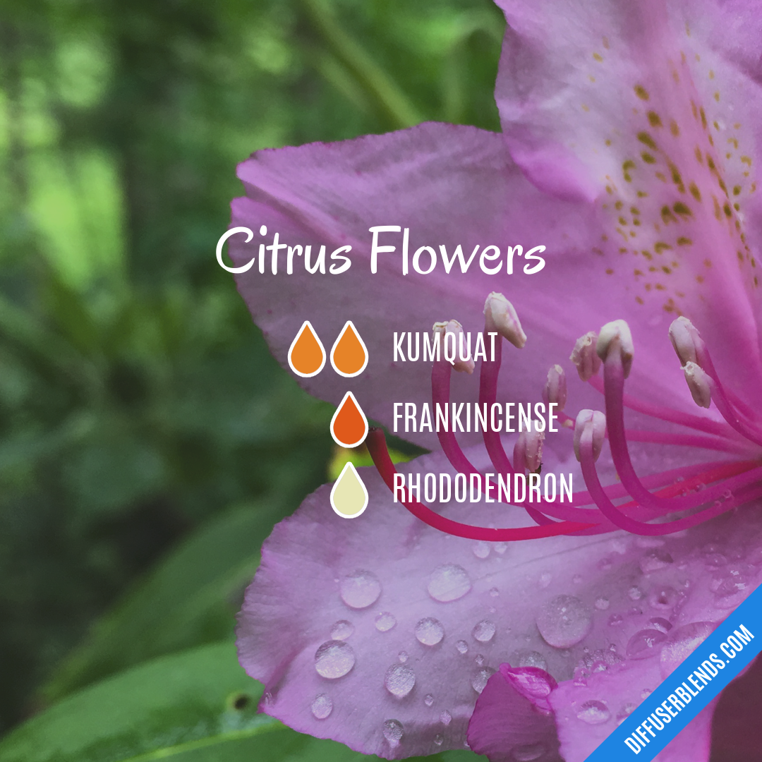 Citrus Flowers — Essential Oil Diffuser Blend