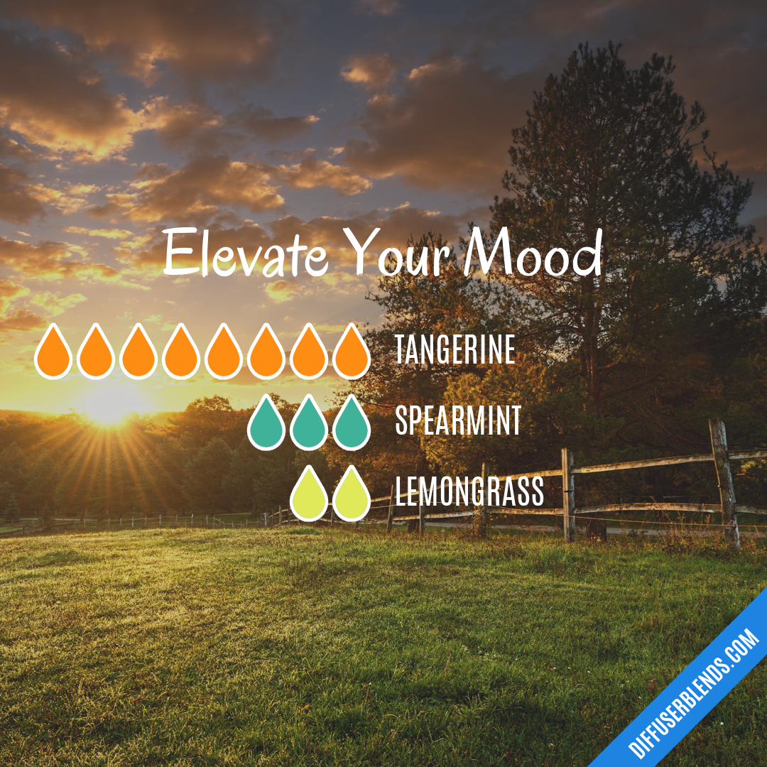 Elevate Your Mood — Essential Oil Diffuser Blend