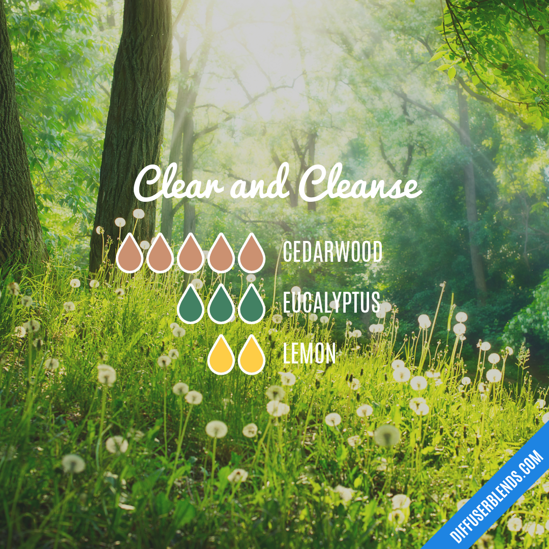 Clear and Cleanse — Essential Oil Diffuser Blend