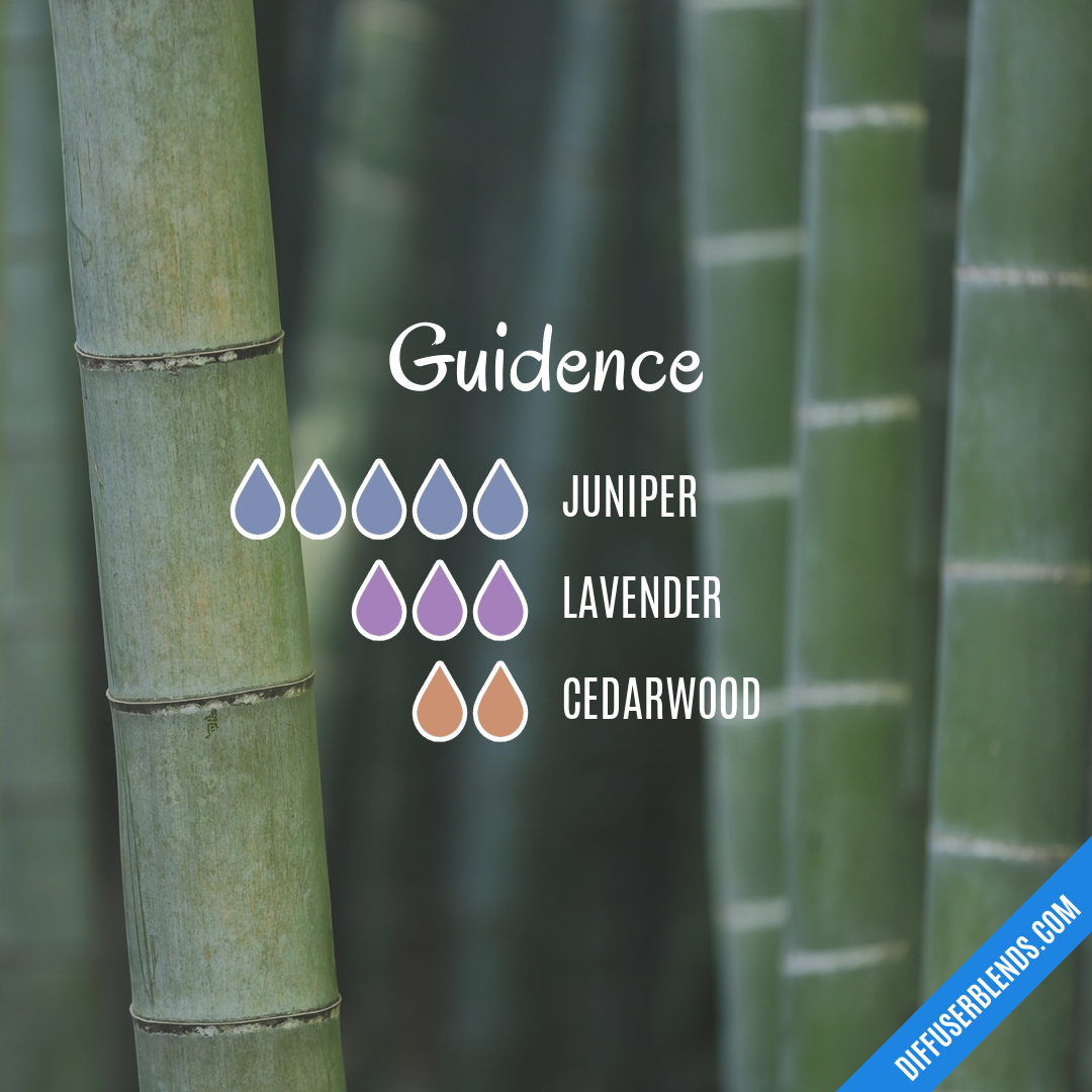 Guidence — Essential Oil Diffuser Blend