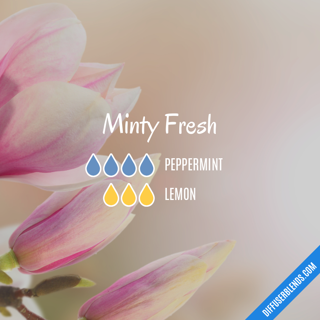 Minty Fresh — Essential Oil Diffuser Blend