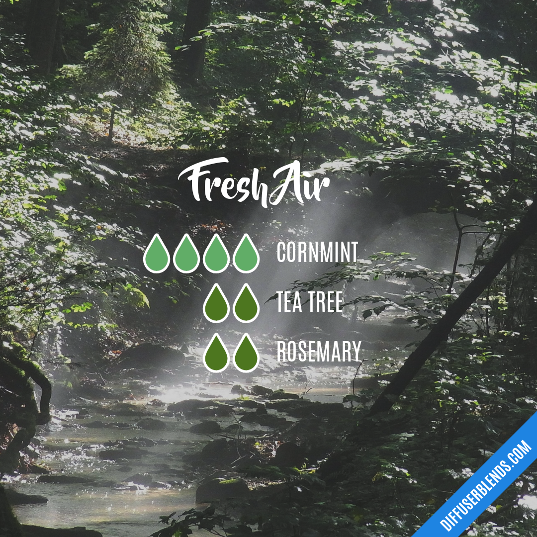 Fresh Air — Essential Oil Diffuser Blend