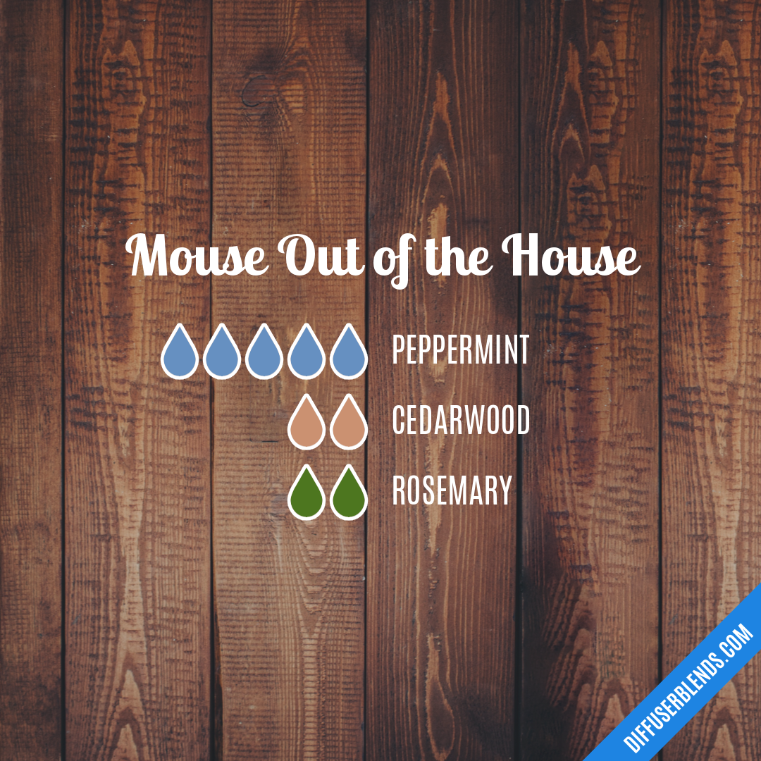 Mouse Out of the House — Essential Oil Diffuser Blend