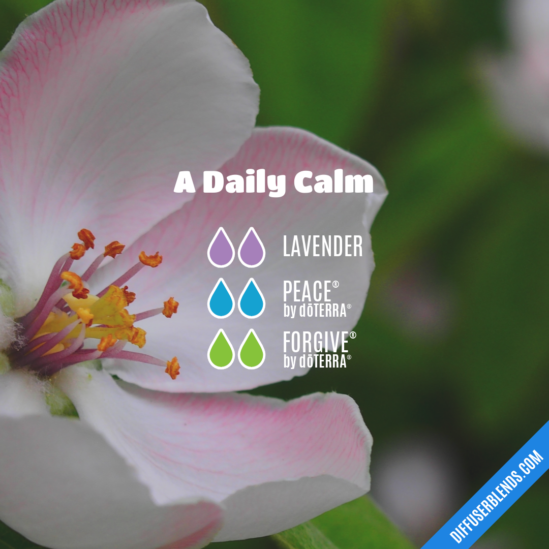 A Daily Calm — Essential Oil Diffuser Blend