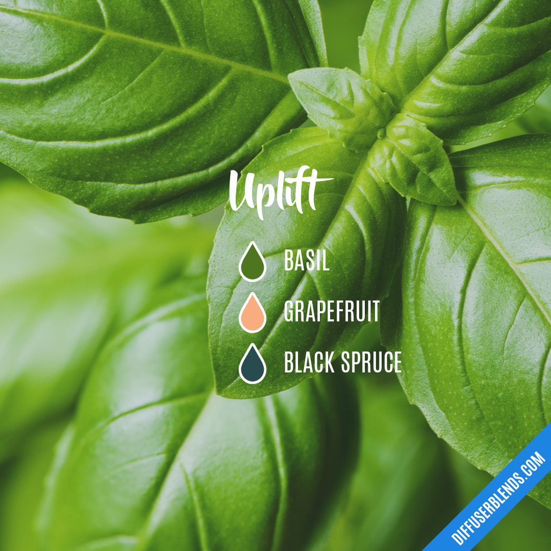 Uplift — Essential Oil Diffuser Blend