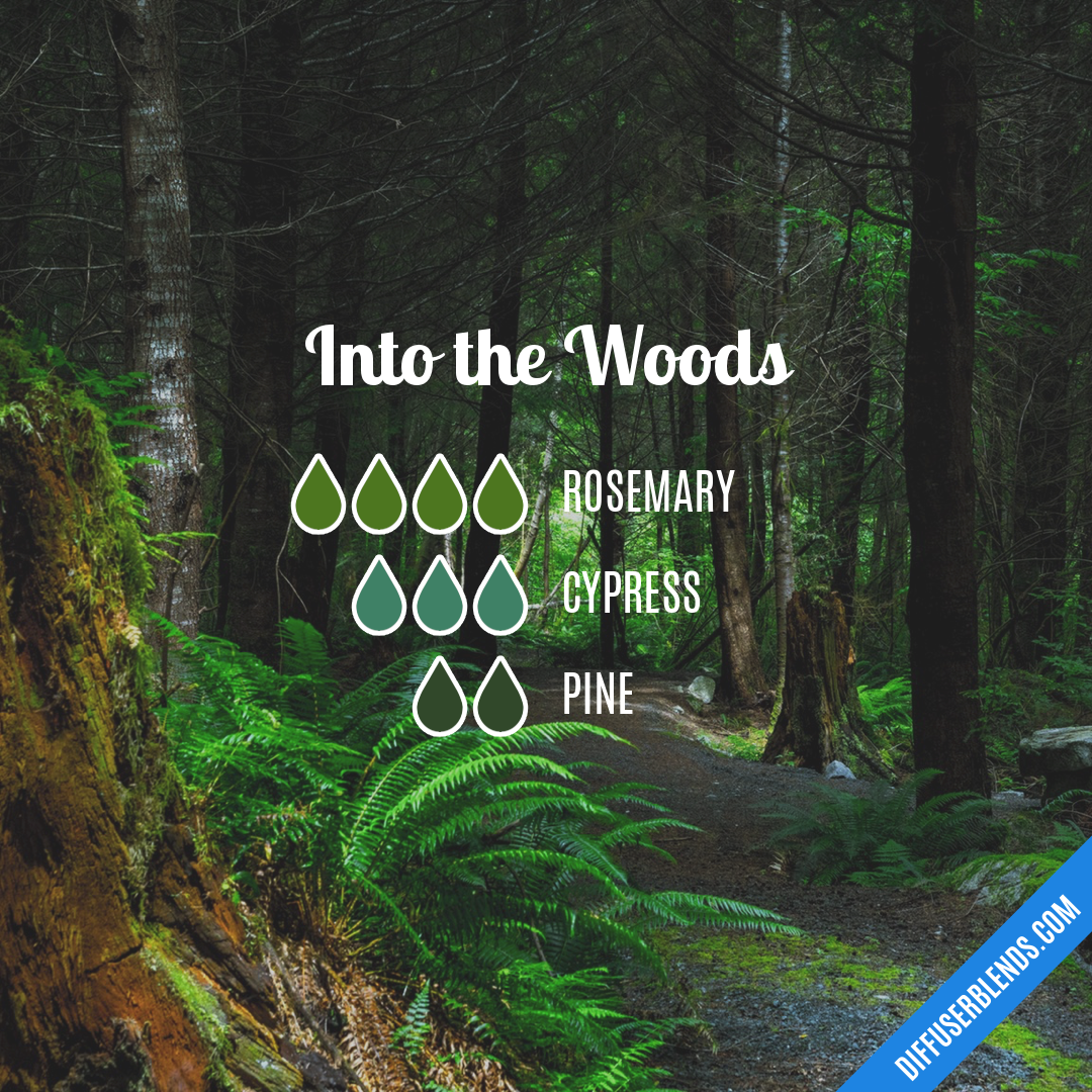 Into the Woods — Essential Oil Diffuser Blend