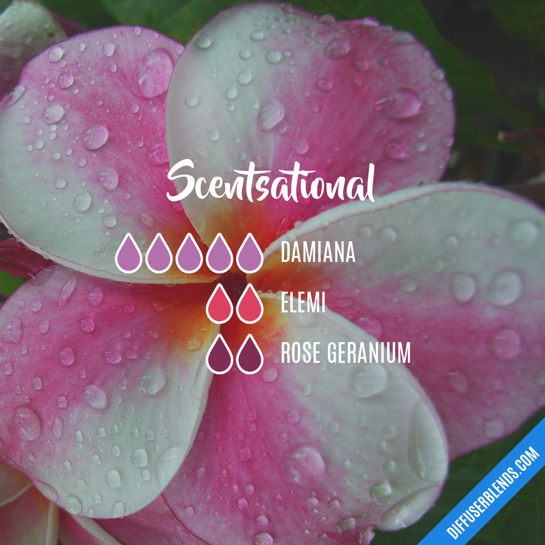 Scentsational — Essential Oil Diffuser Blend