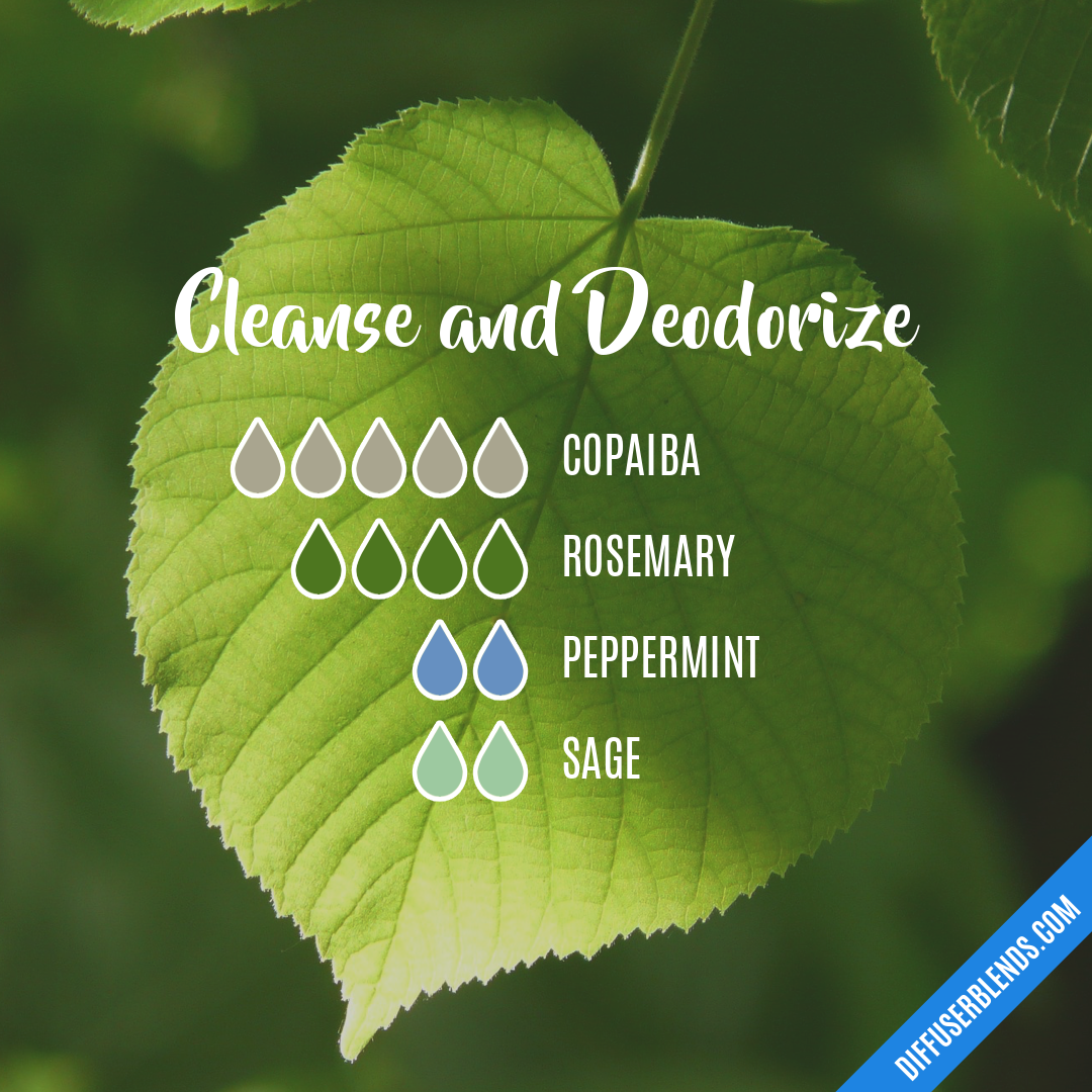 Cleanse and Deodorize — Essential Oil Diffuser Blend