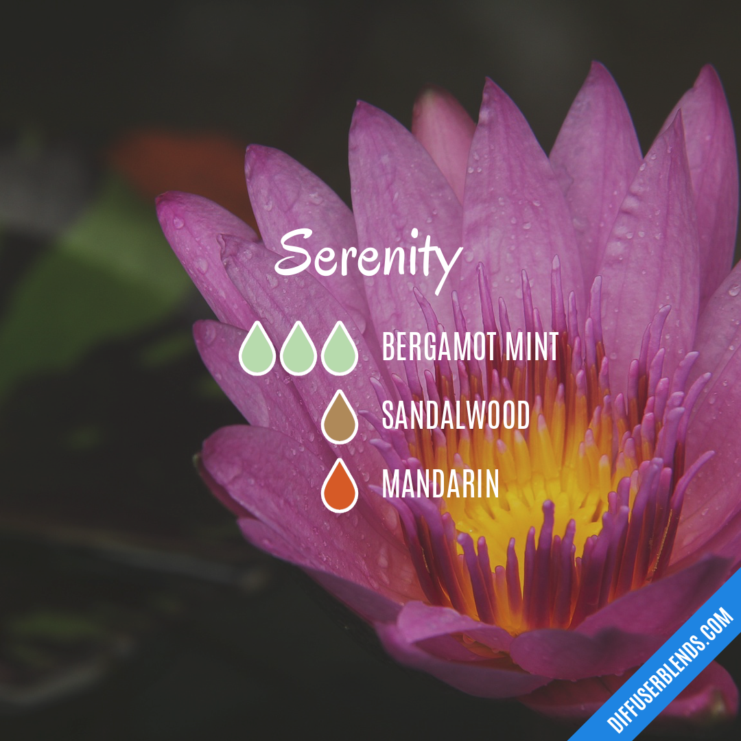 Serenity — Essential Oil Diffuser Blend