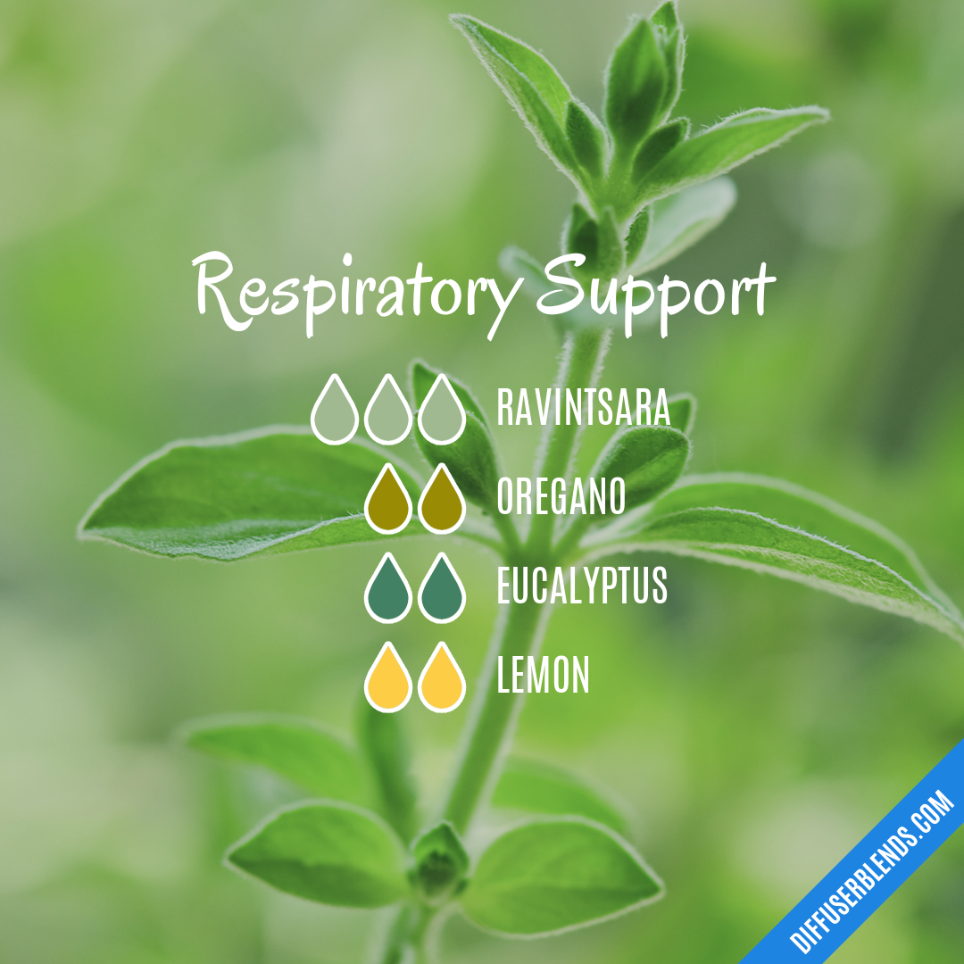 Respiratory Support — Essential Oil Diffuser Blend