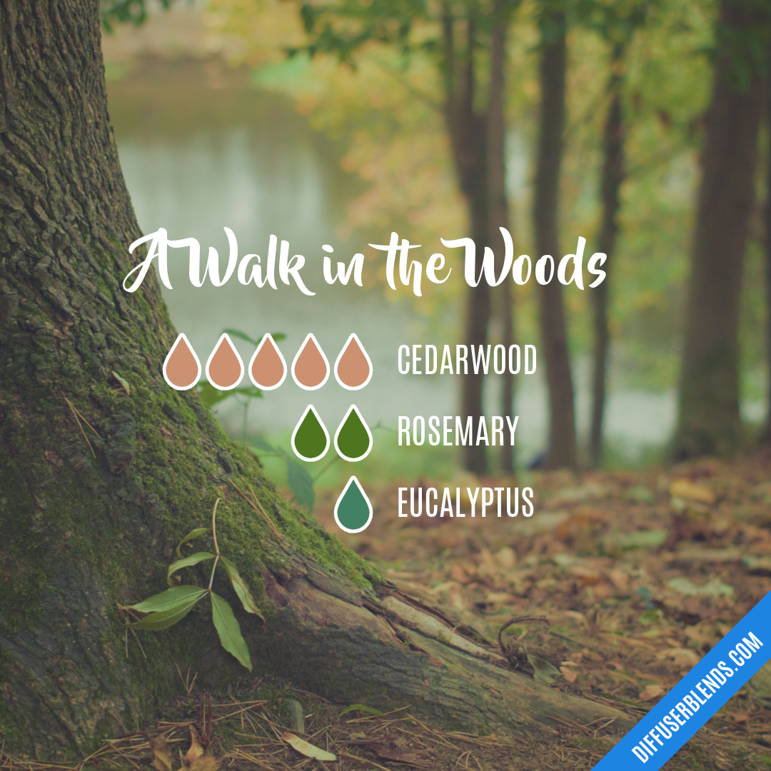 A Walk in the Woods — Essential Oil Diffuser Blend