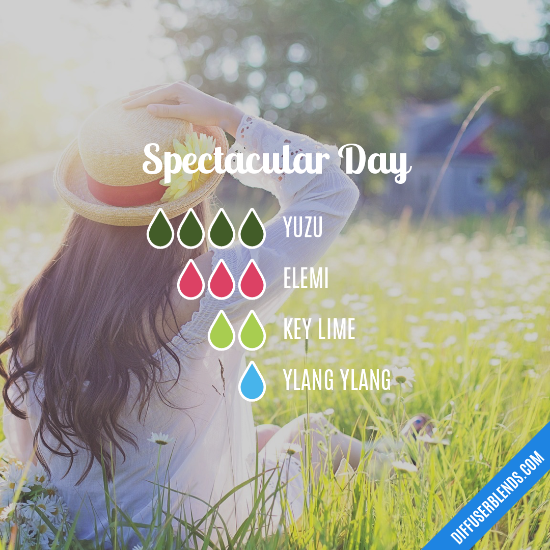 Spectacular Day — Essential Oil Diffuser Blend