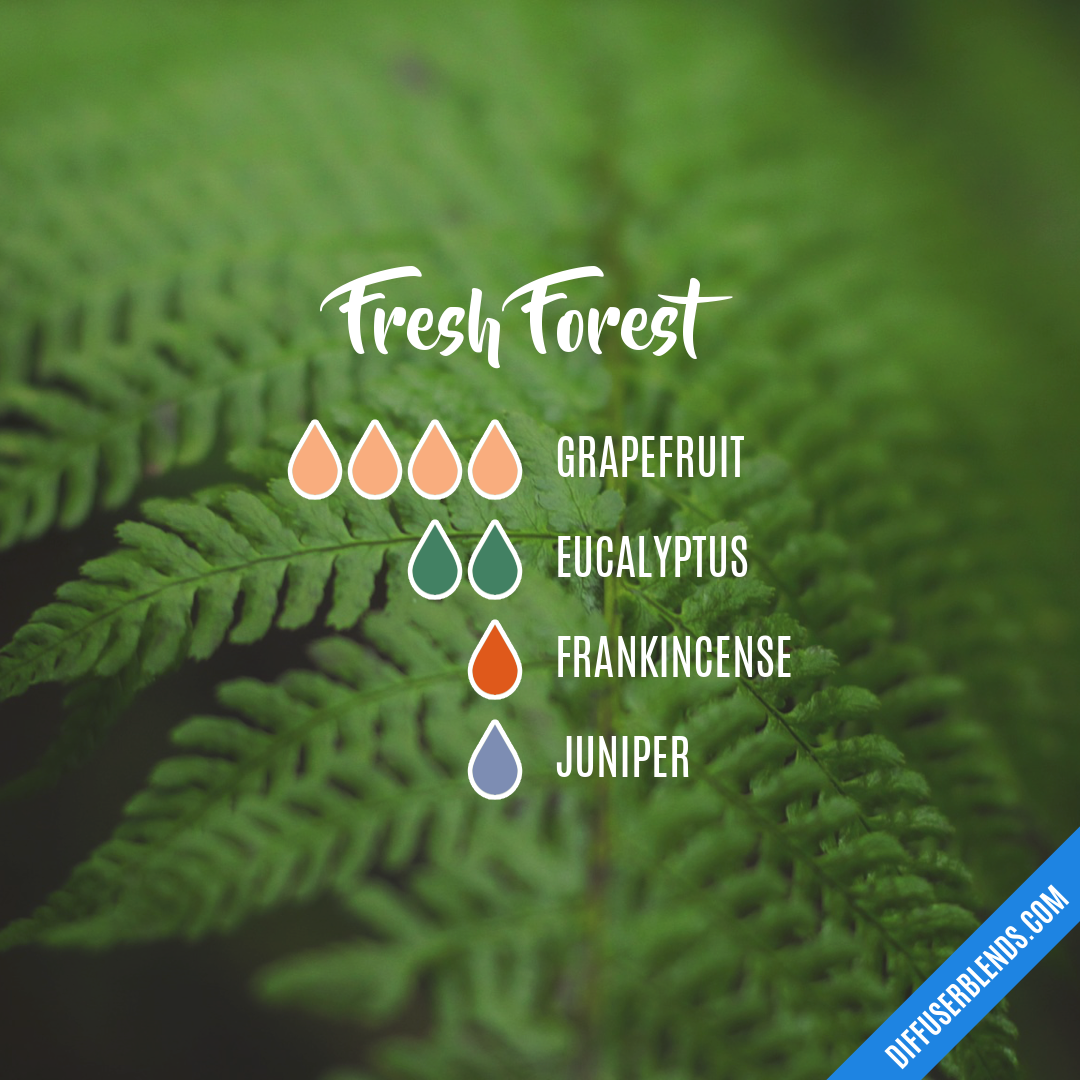 Fresh Forest | DiffuserBlends.com