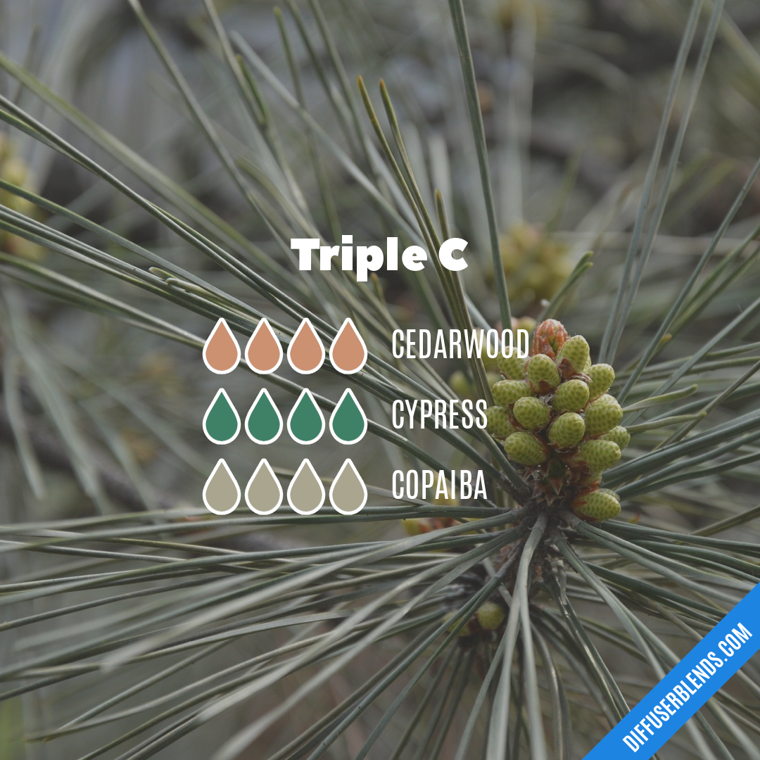 Triple C — Essential Oil Diffuser Blend