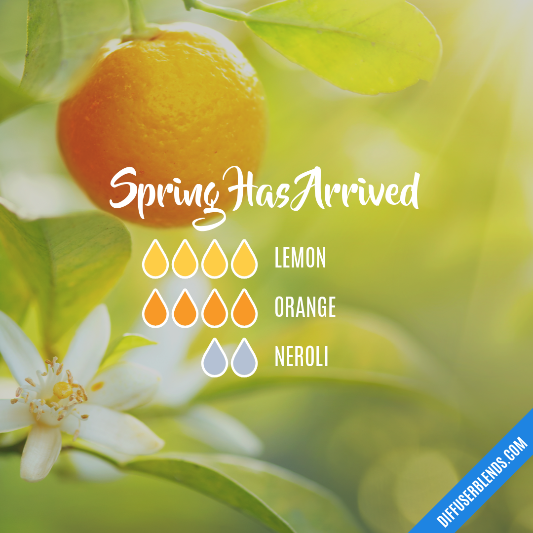 Spring Has Arrived — Essential Oil Diffuser Blend