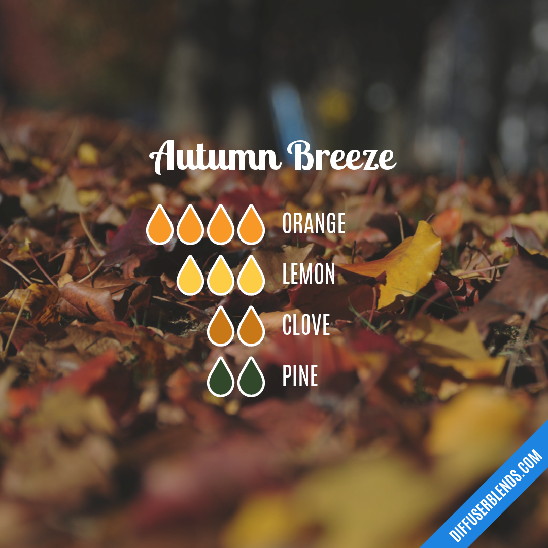 Autumn Breeze — Essential Oil Diffuser Blend