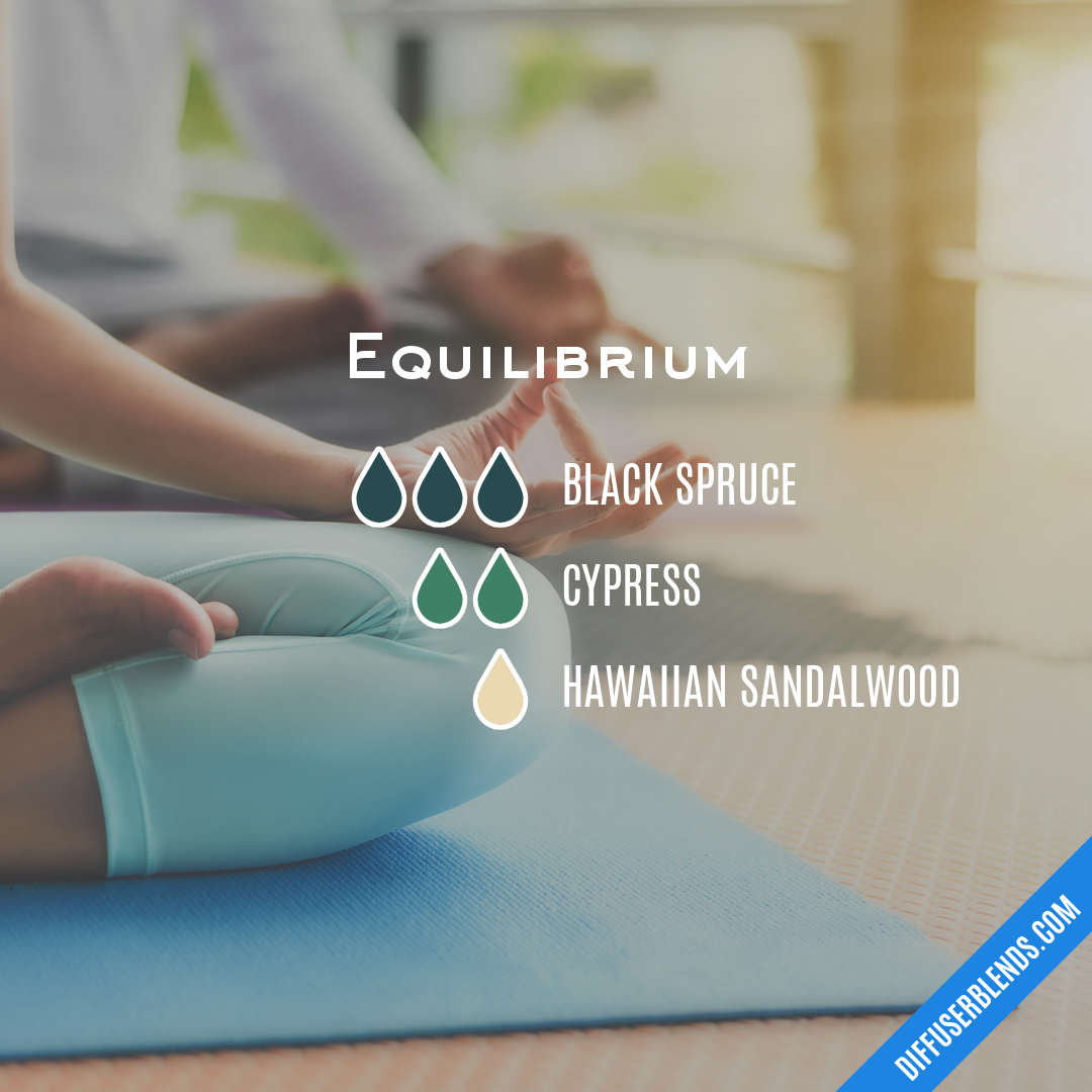 Equilibrium — Essential Oil Diffuser Blend