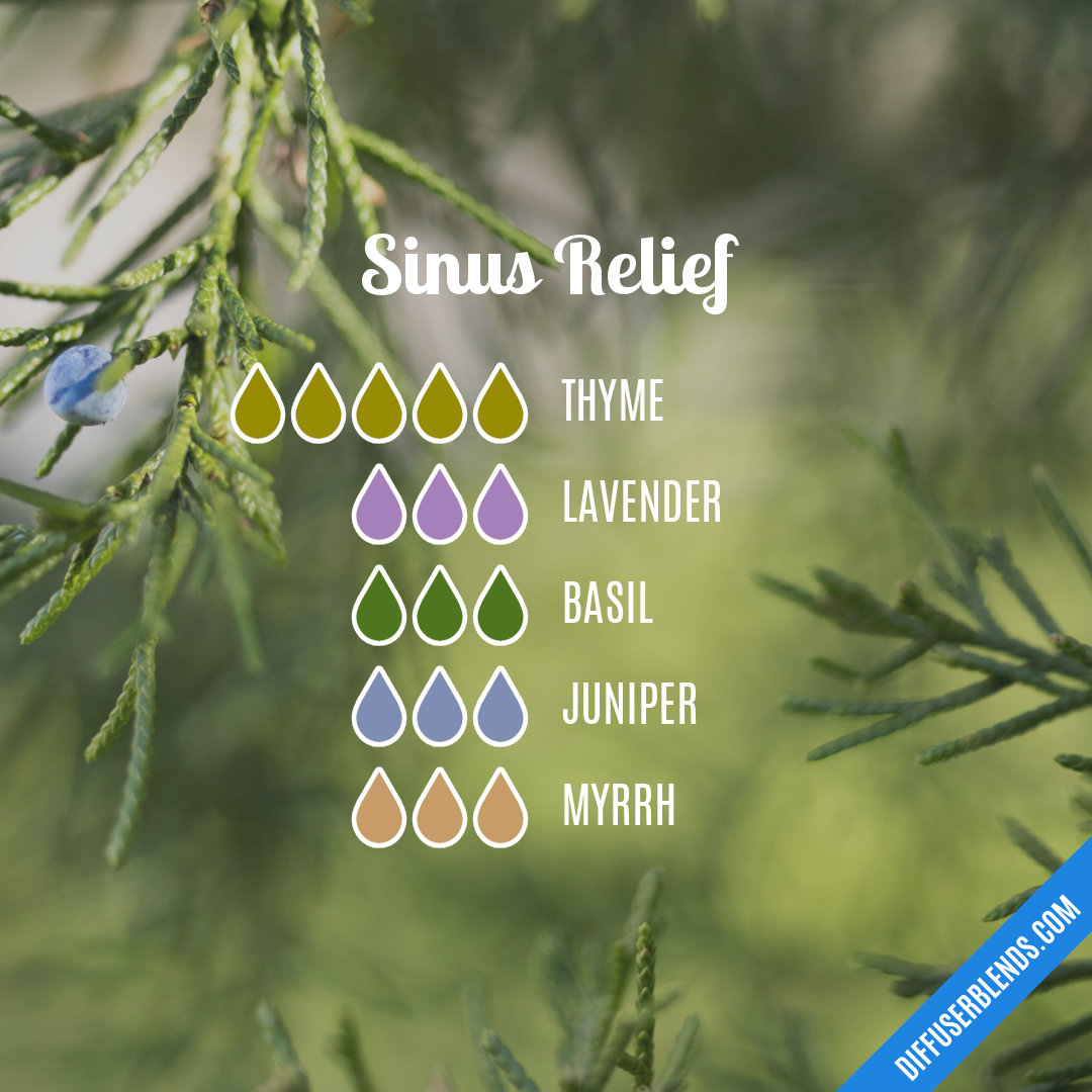 Sinus Relief — Essential Oil Diffuser Blend