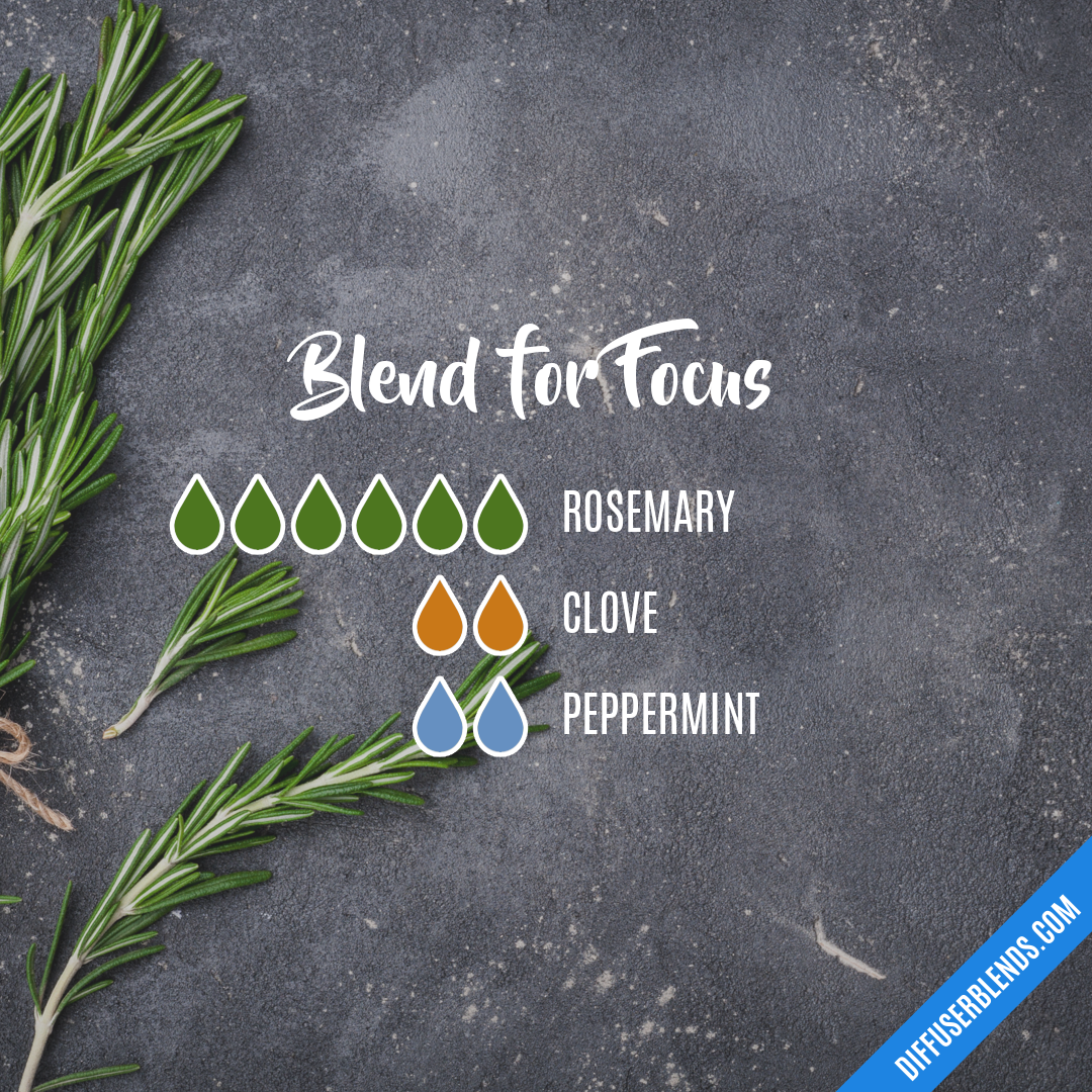 Blend for Focus — Essential Oil Diffuser Blend