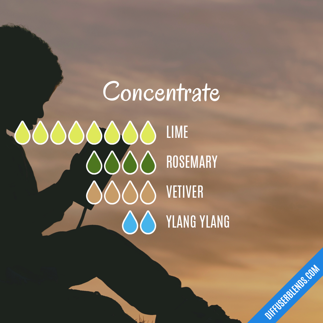 Concentrate — Essential Oil Diffuser Blend