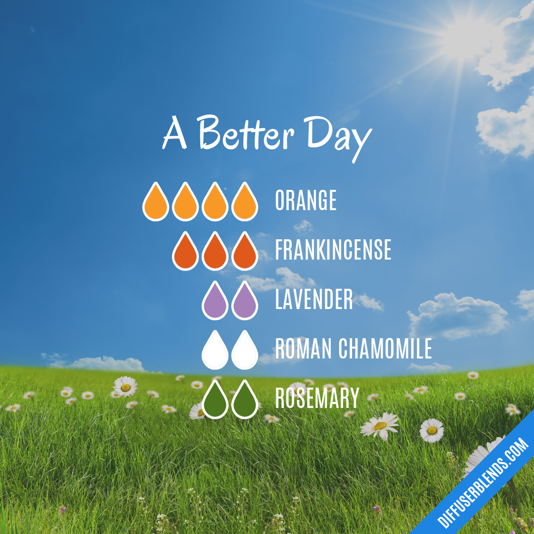 A Better Day — Essential Oil Diffuser Blend