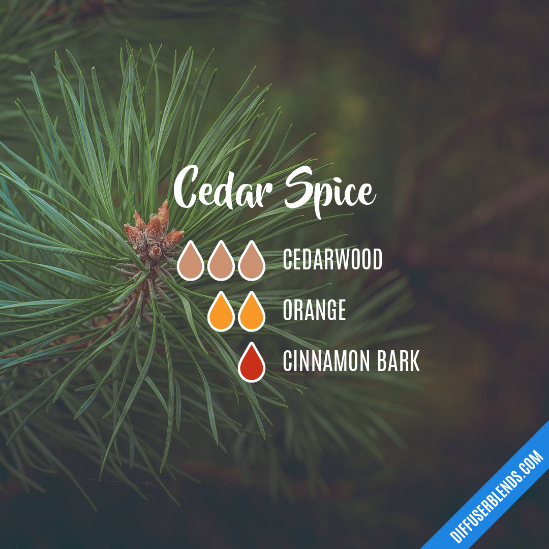 Cedar Spice — Essential Oil Diffuser Blend