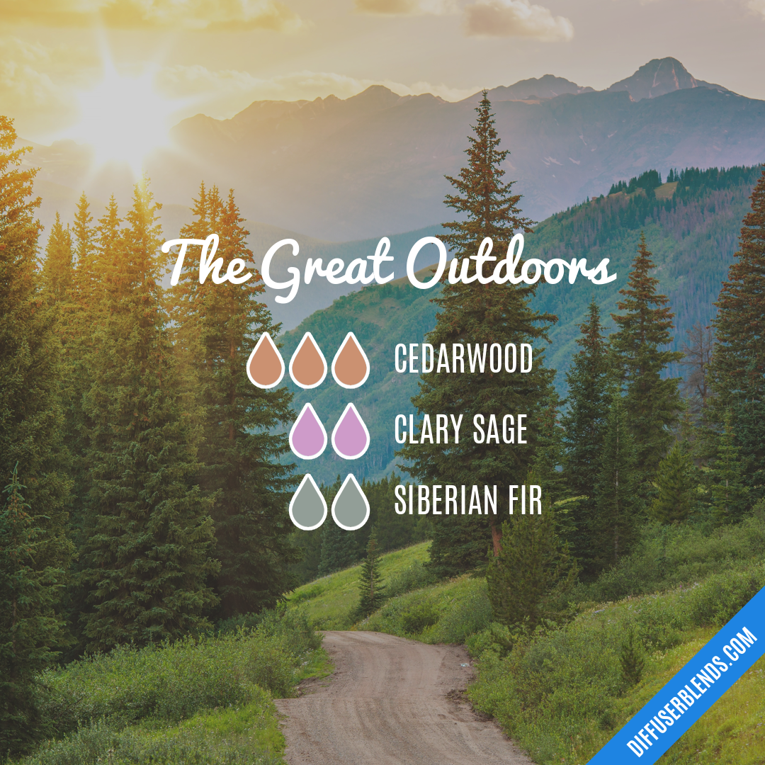 The Great Outdoors — Essential Oil Diffuser Blend