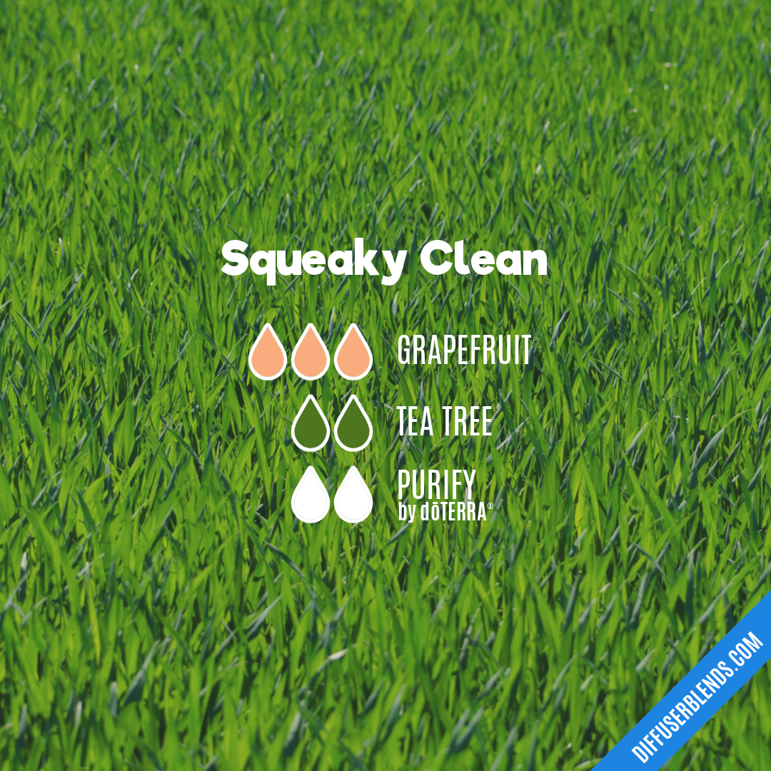 Squeaky Clean — Essential Oil Diffuser Blend