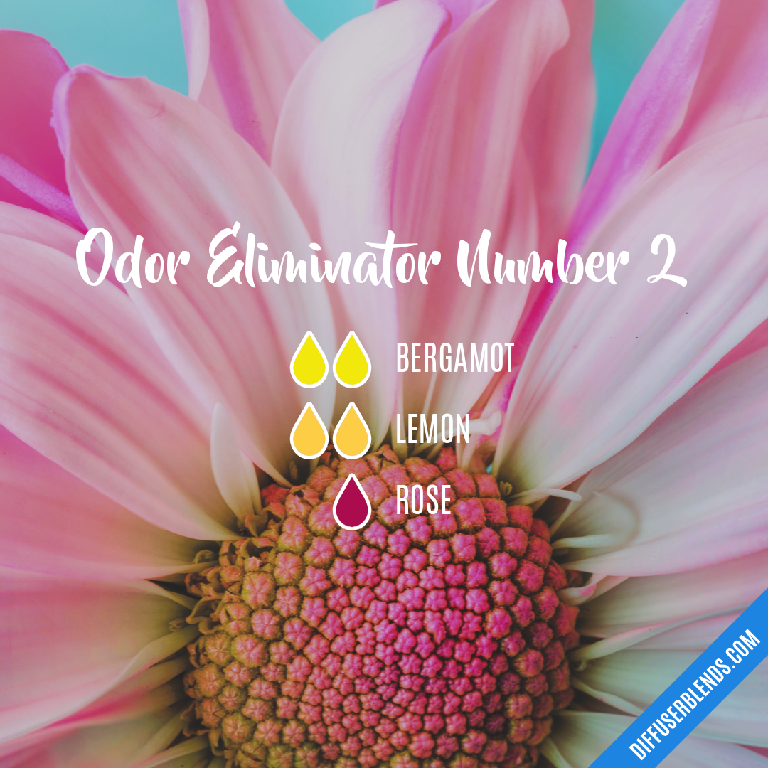 Odor Eliminator Number 2 — Essential Oil Diffuser Blend