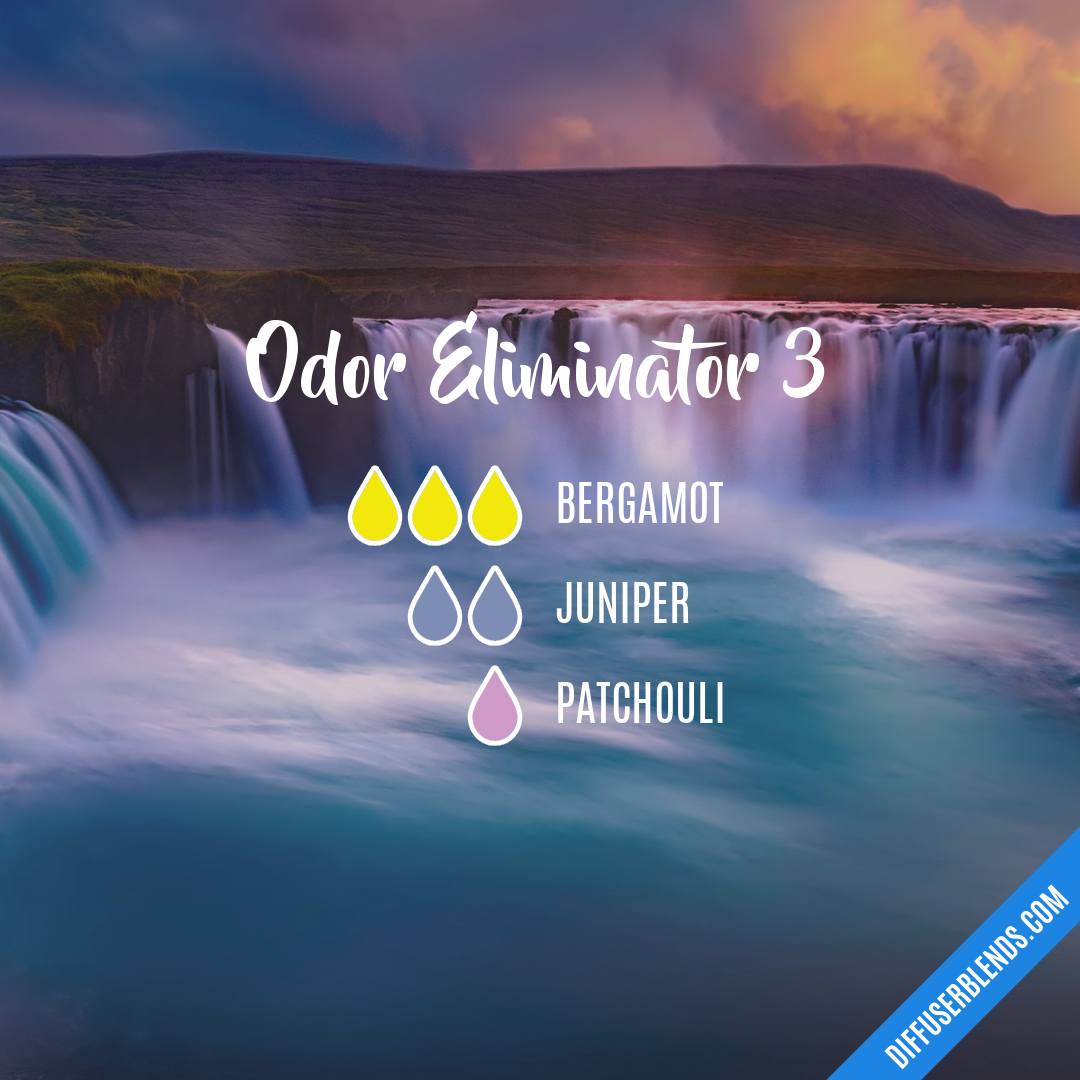 Odor Eliminator 3 — Essential Oil Diffuser Blend