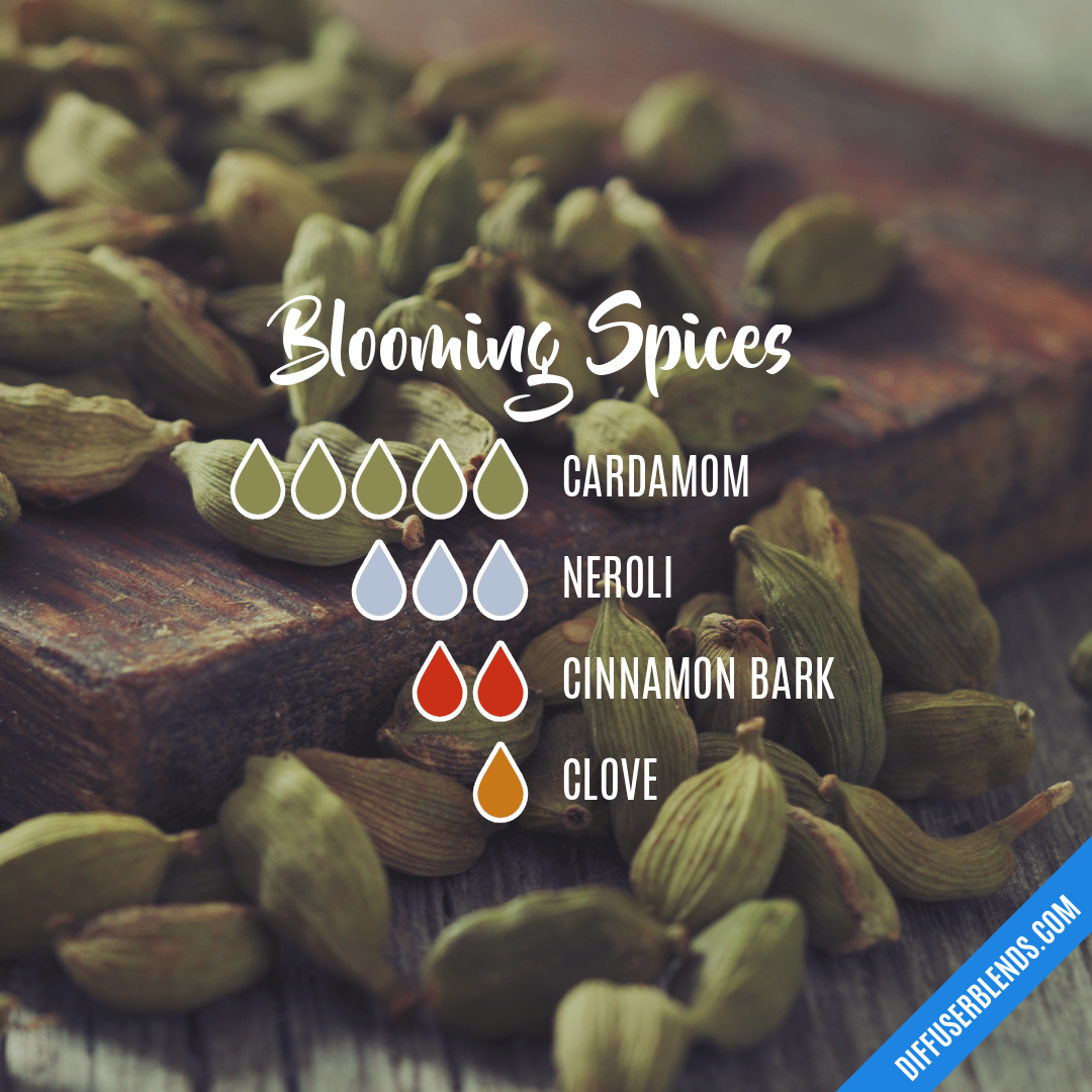 Blooming Spices — Essential Oil Diffuser Blend