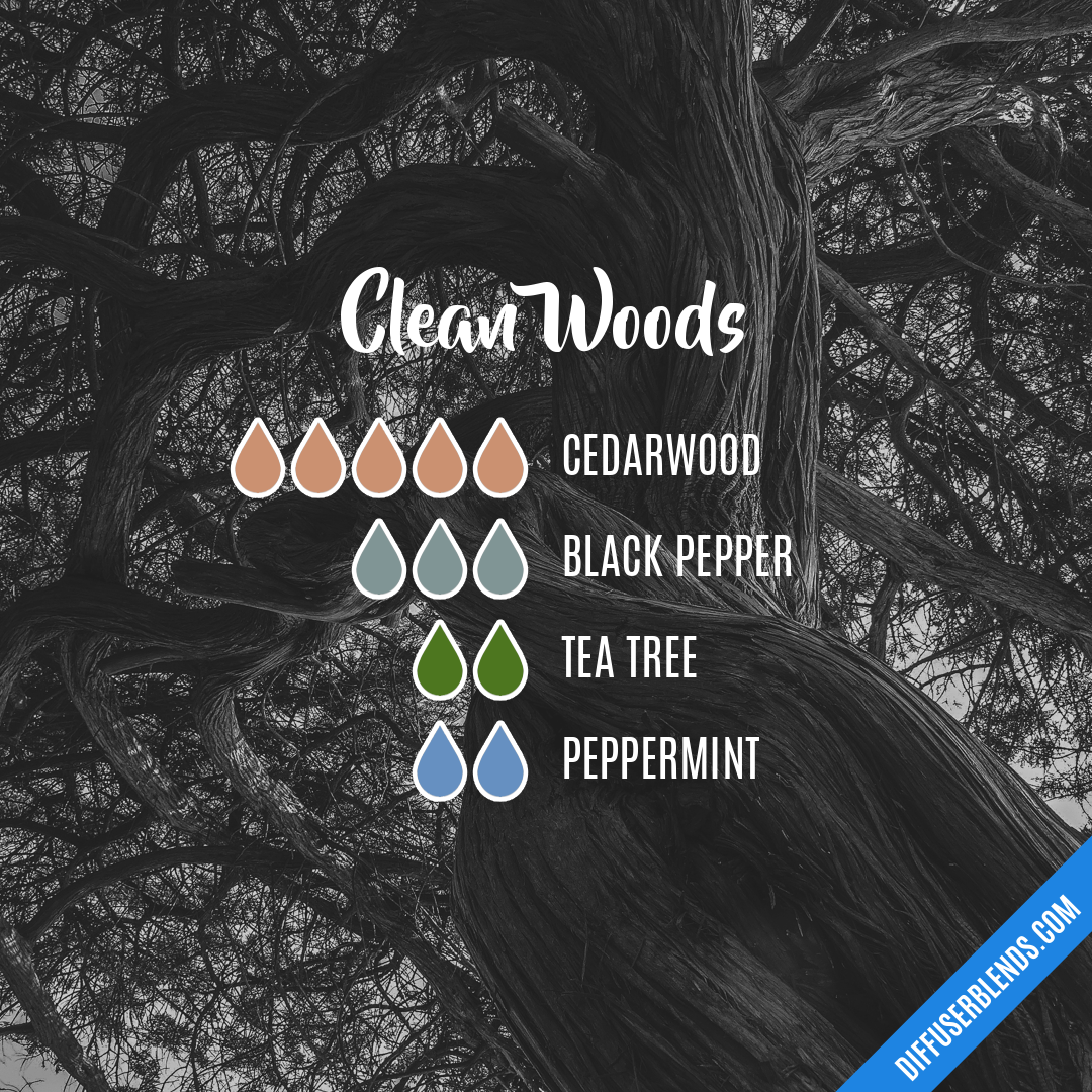 Clean Woods — Essential Oil Diffuser Blend