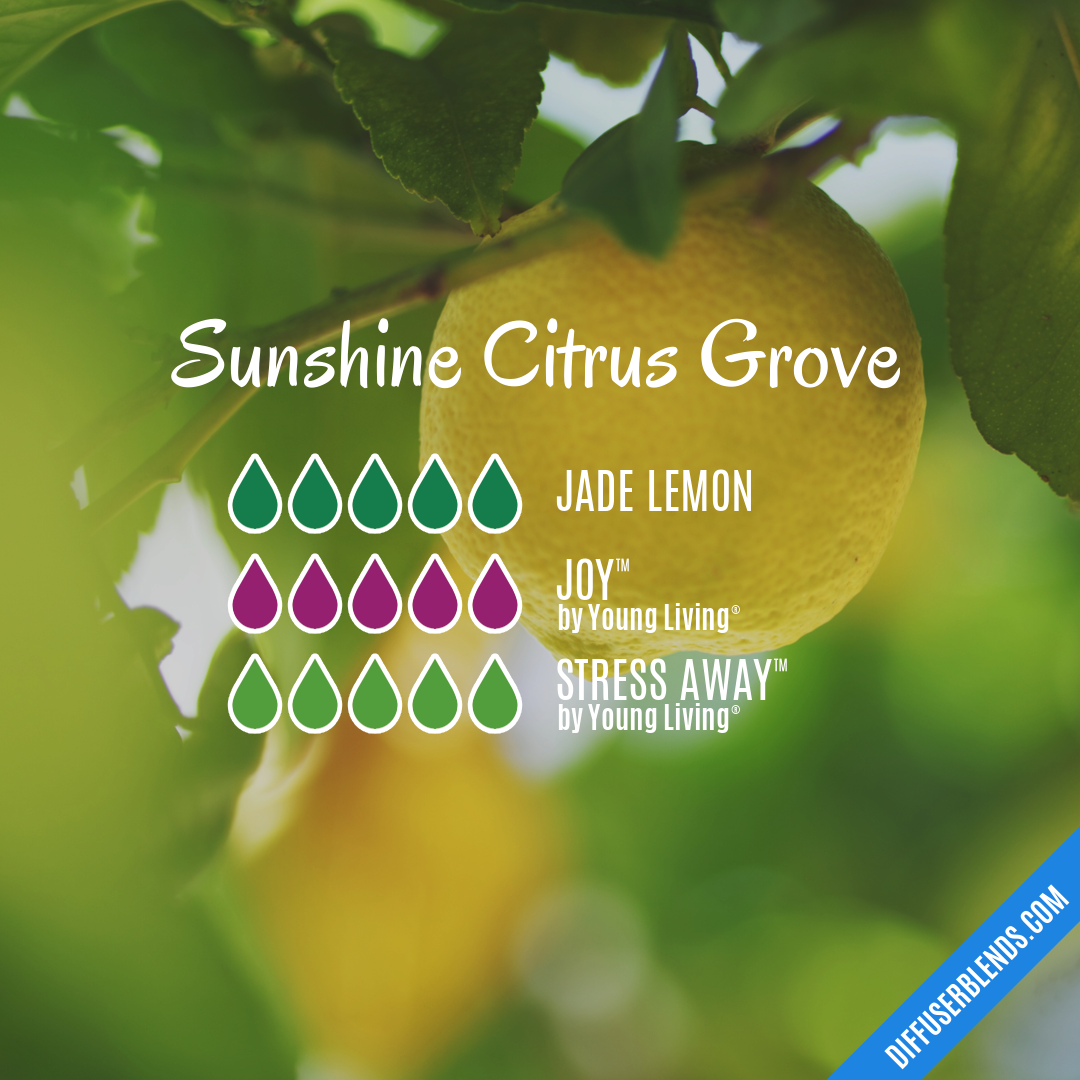 Sunshine Citrus Grove — Essential Oil Diffuser Blend