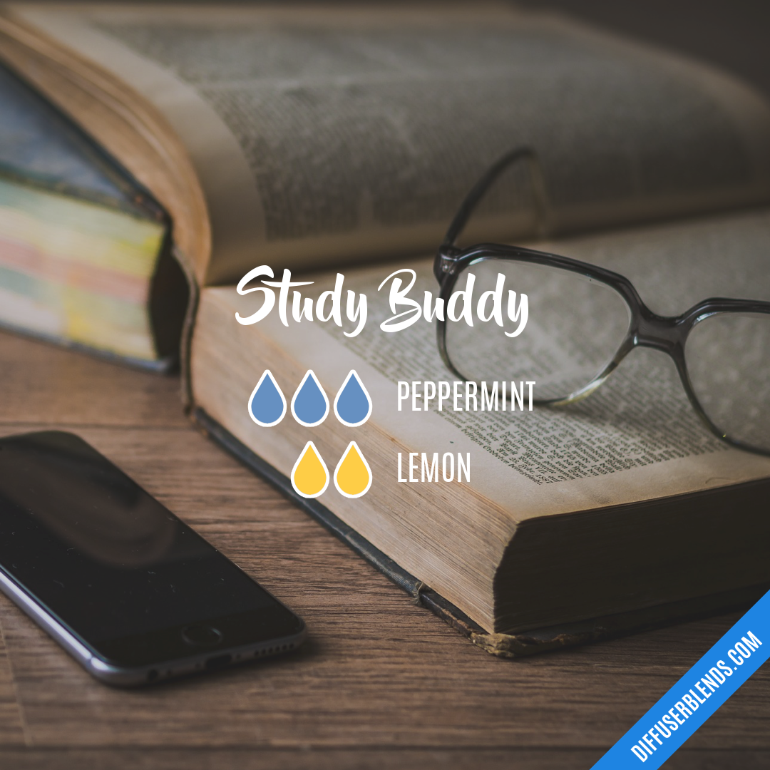 Study Buddy — Essential Oil Diffuser Blend