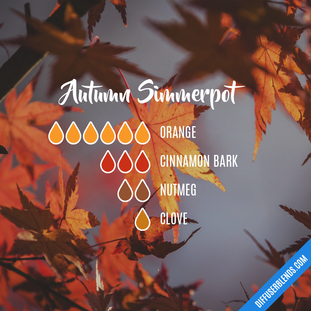 Autumn Simmerpot | DiffuserBlends.com