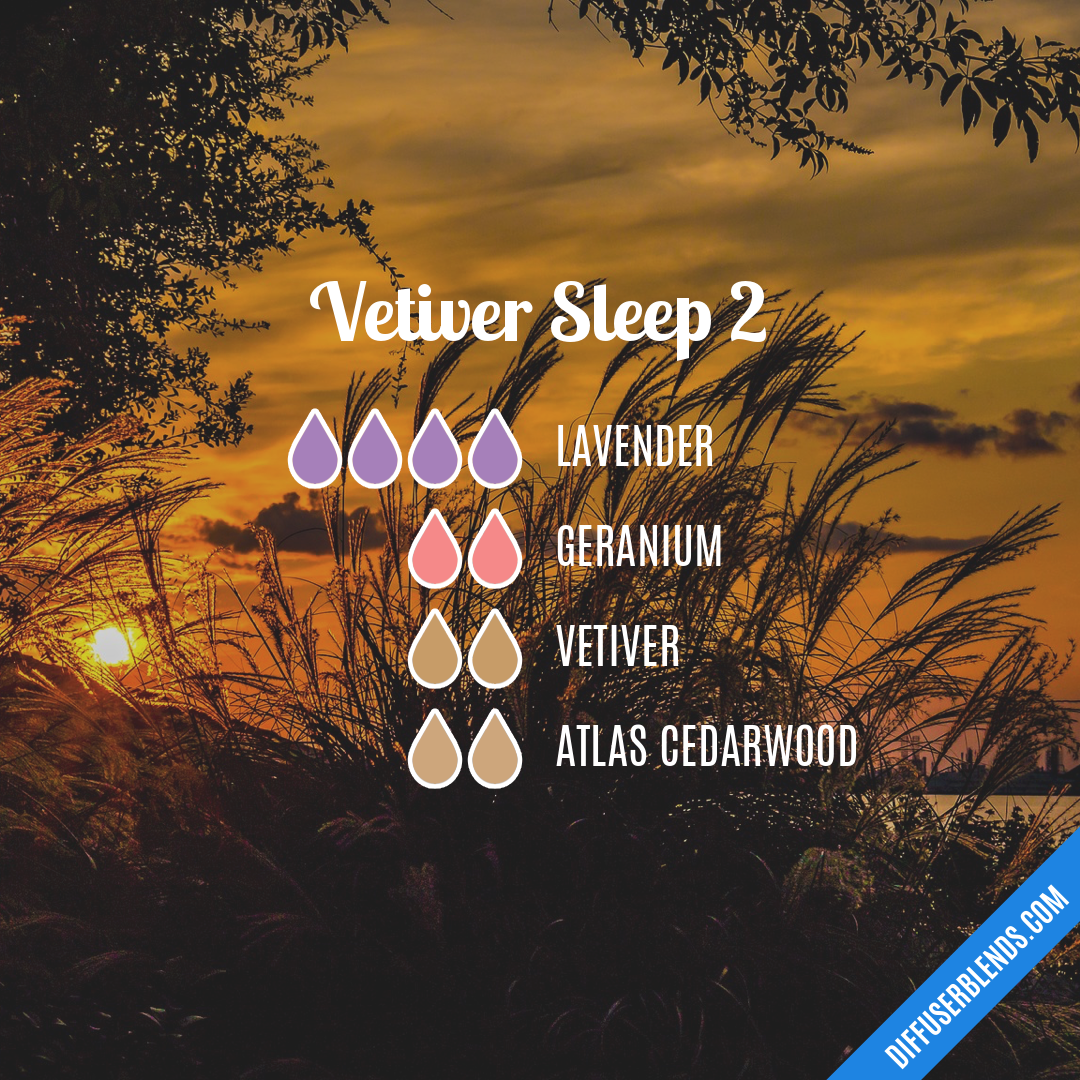 Vetiver Sleep 2 — Essential Oil Diffuser Blend