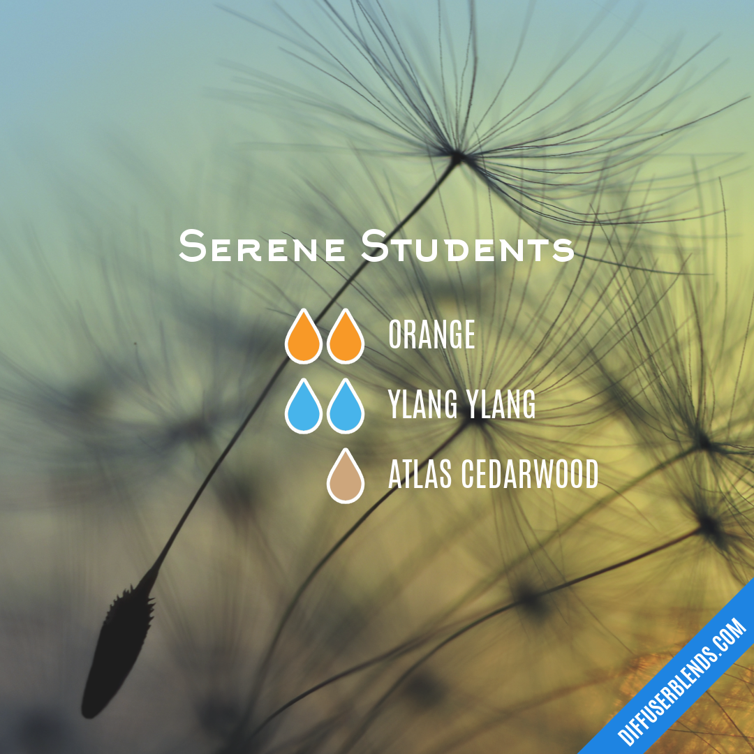 Serene Students — Essential Oil Diffuser Blend