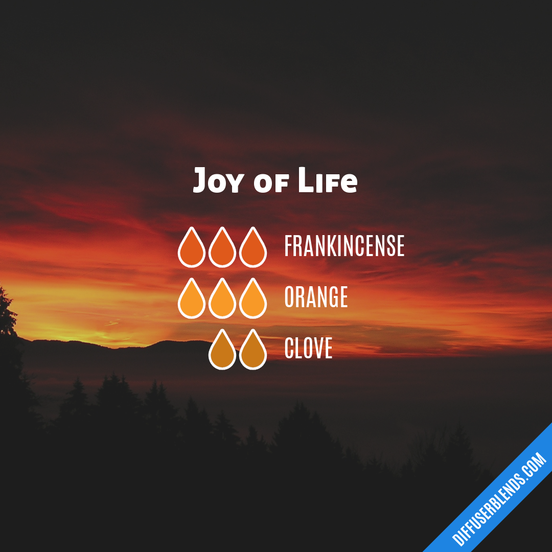 Joy of Life — Essential Oil Diffuser Blend