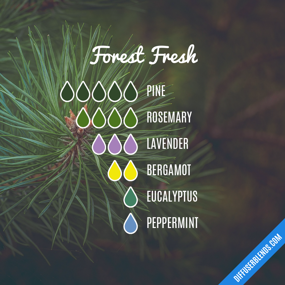 Forest Fresh — Essential Oil Diffuser Blend