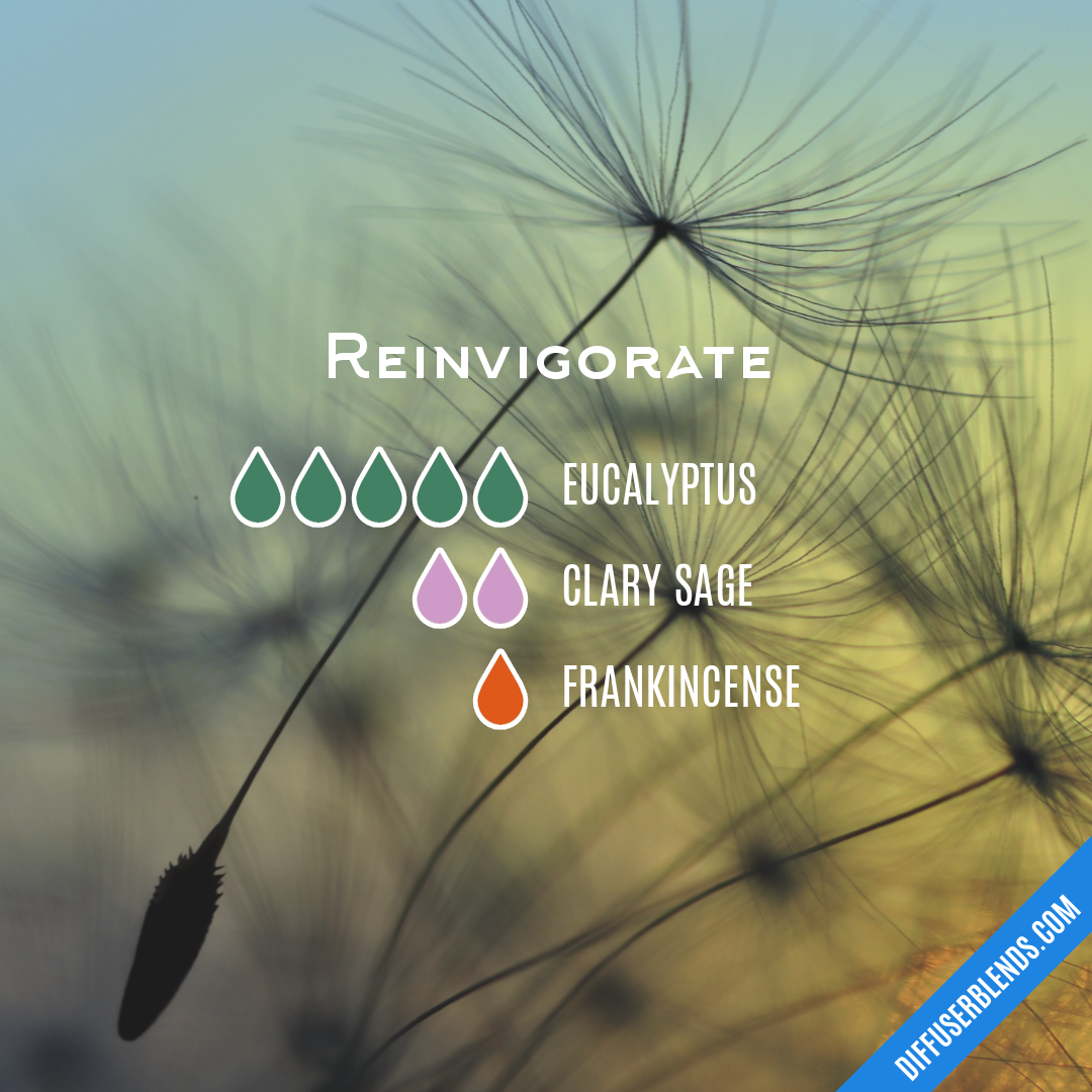 Reinvigorate — Essential Oil Diffuser Blend