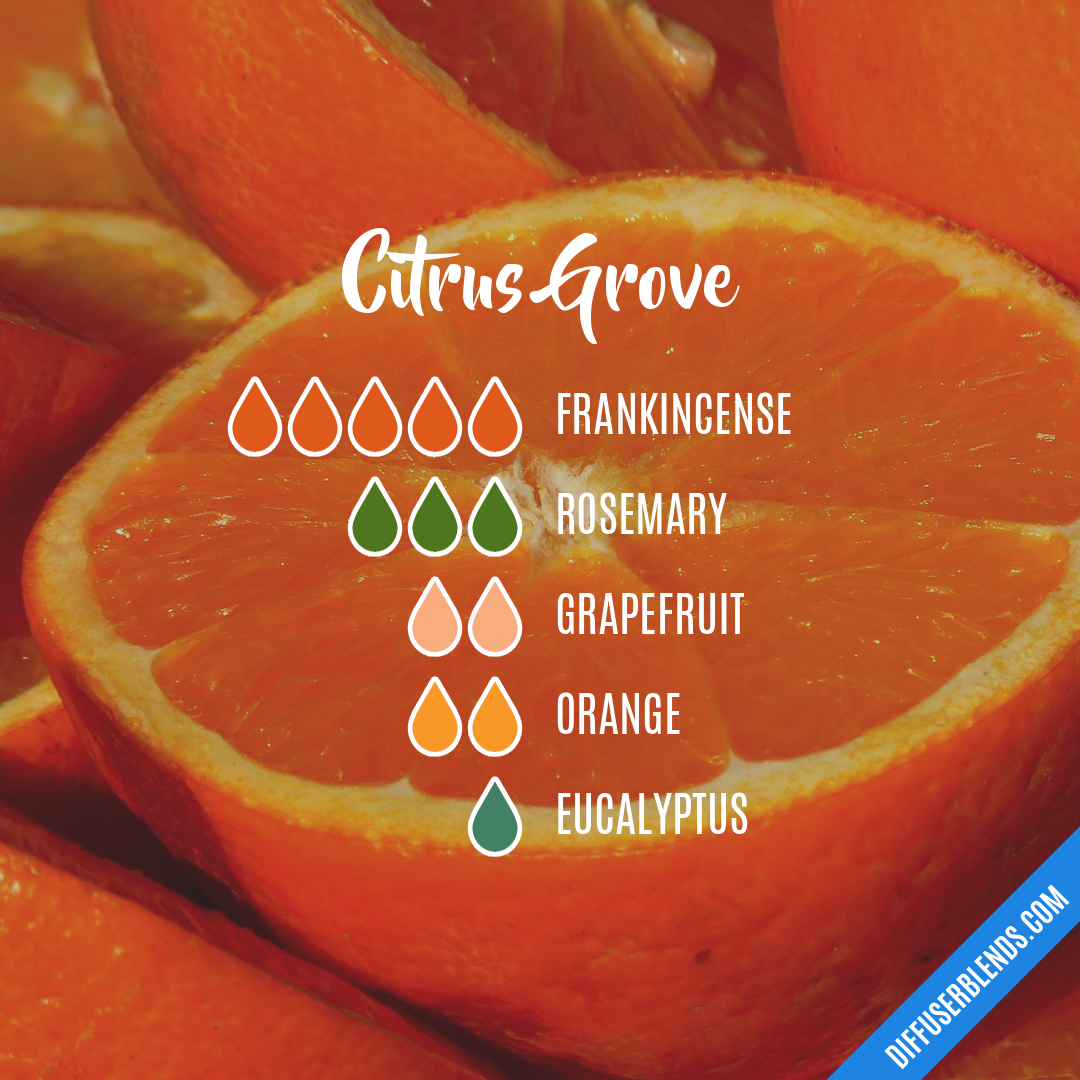 Citrus Grove Essential Oil