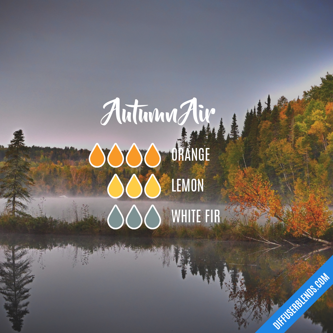 Autumn Air — Essential Oil Diffuser Blend